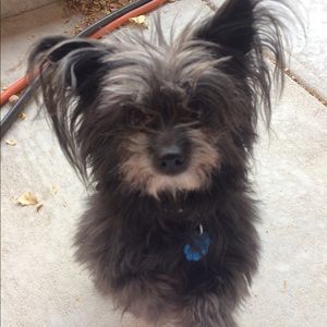 Meet your Posher, Gayle